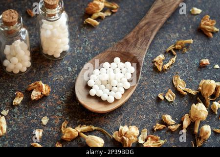 Homöopathische Heilpillen auf einem Holzlöffel mit getrockneten Kräutern Stockfoto