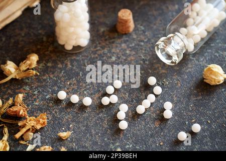 Homöopathische Pillen oder Kugeln, die aus einer Flasche mit getrockneten Kräutern verschüttet wurden Stockfoto