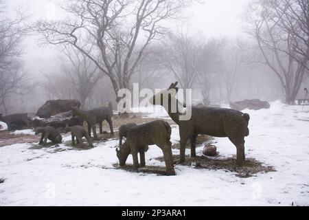 Hirschstatue und Schnee fallen im Wald auf dem Hanla Mountain Vulkan oder Mount Halla im Hallasan Nationalpark für koreanische Reisende besuchen Stockfoto