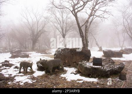 Hirschstatue und Schnee fallen im Wald auf dem Hanla Mountain Vulkan oder Mount Halla im Hallasan Nationalpark für koreanische Reisende besuchen Stockfoto