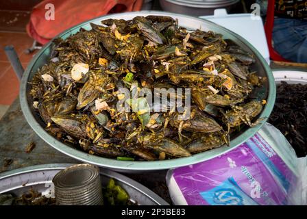 Auf dem Skun Insektenmarkt in Kambodscha sind sautierte riesige Wasserkäfer erhältlich. Stockfoto