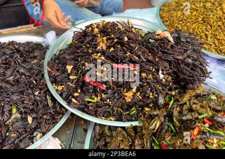 Eine große Schüssel sautierter Tarantelspinnen auf dem Skun Insektenmarkt in Kambodscha. Stockfoto