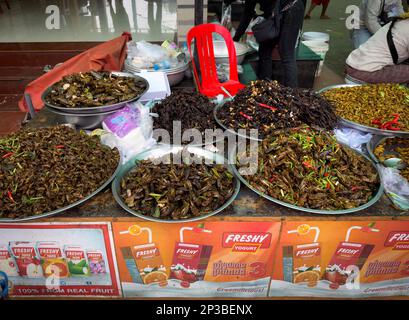 Große Schüsseln mit sautierten Heuschrecken, Spinnen, Seidenraupenlarven und anderen Insekten sind auf dem Skun Insect Market in Kambodscha erhältlich. Stockfoto