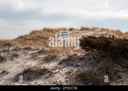 Verhüllen Sie sich von dem Schild "Bitte halten Sie sich von den Dünen fern" auf einer Sanddüne mit Gras und Büschen Stockfoto