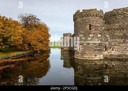 Schloss Beaumaris und Graben im Herbst. Anglesey, Nordwales. Stockfoto