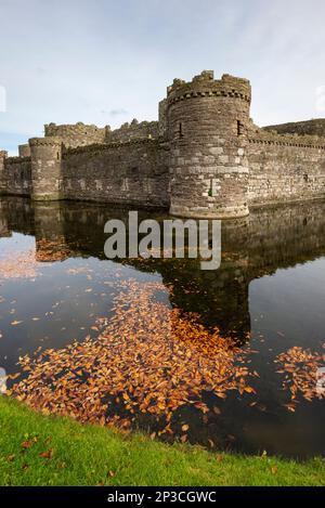 Schloss Beaumaris und Graben im Herbst. Anglesey, Nordwales. Stockfoto