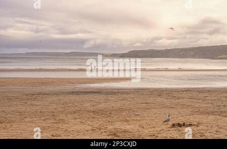 Ein Strand bei Ebbe im Winter. Menschen gehen in die Nähe der Wasserlinie und eine Möwe ist im Vordergrund. Ein wolkiger Himmel ist über einer Landzunge. Stockfoto