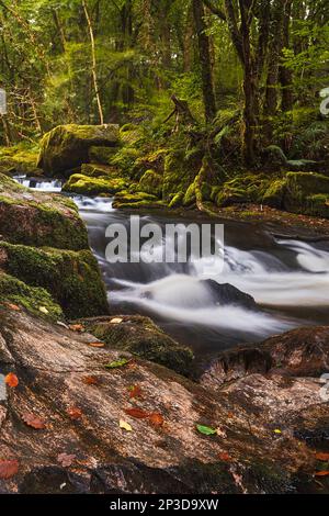 Lange Exposition der Golitha Falls; River Fowey; Cornwall Stockfoto