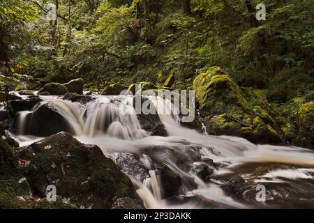 Lange Exposition der Golitha Falls; River Fowey; Cornwall Stockfoto