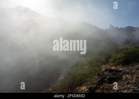 Nebel im grünen Teno-Gebirge bei Masca mit Serpentinenstraßen auf der Kanarischen Insel Teneriffa, Spanien Stockfoto