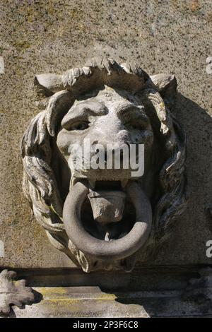 Ein mittelalterlicher Löwenkopf-Türklopfer. Stockfoto