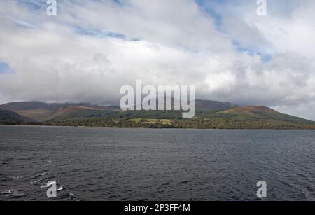 Die Ziege fiel von der Fähre Caledonian Isles aus, als sie Brodick auf der Insel Arran Ayrshire Schottland verlässt Stockfoto