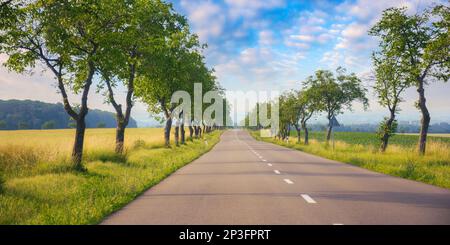 Die leere Straße führt durch eine friedliche Landschaft mit weiten Feldern und ruhigen Wiesen. Eine ruhige Reise bietet eine malerische Route durch die ländliche Gegend Stockfoto