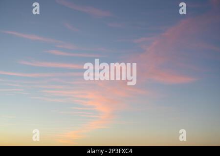 Rosa Cirrostratuswolken am Abendhimmel über dem goldenen Schein des Sonnenuntergangs. Stockfoto