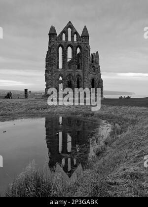 Whitby Abbey im Fischteich, Whitby, North Yorkshire Stockfoto