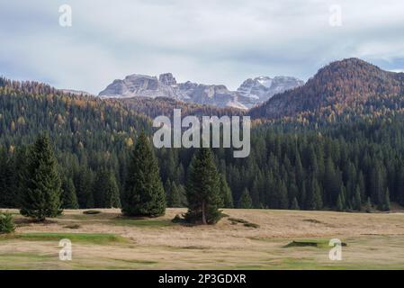 Felsige Gipfel, der Groste-Pass und Wälder, die über Madonna di Campiglio, Adamello Brenta Nature Park, Brenta Dolomiten, Trentino Alto Adige, Italien ragen Stockfoto