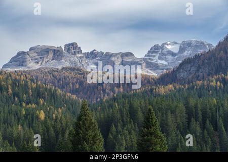 Felsige Gipfel, der Groste-Pass und Wälder, die über Madonna di Campiglio, Adamello Brenta Nature Park, Brenta Dolomiten, Trentino Alto Adige, Italien ragen Stockfoto