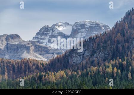 Felsige Gipfel, der Groste-Pass und Wälder, die über Madonna di Campiglio, Adamello Brenta Nature Park, Brenta Dolomiten, Trentino Alto Adige, Italien ragen Stockfoto