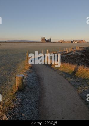 Whitby Abbey vom Cleveland Way Pfad, Abbey Plain zum Saltwick Bay Abschnitt in der Nähe von Whitby, North Yorkshire. Stockfoto