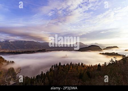 2022 12 30, Bled, Slowenien: Bleder See bedeckt mit Nebel, die Insel Bled ragt durch und Burg Bled und Julische Alpen im Hintergrund Stockfoto