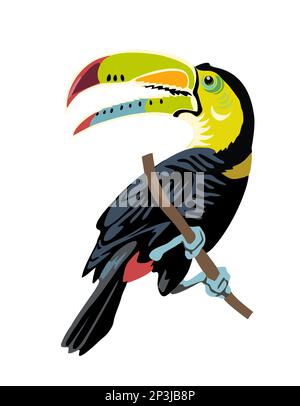 Toukanischer Cartoon-Vektor realistisch isoliert auf Weiß. Stock Vektor
