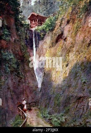 Shanklin Chine - die malerische Schlucht, die von einem kleinen Bach auf der Südseite der Stadt geformt wurde. Isle of Wight, Vereinigtes Königreich, ca. 1911 Stockfoto