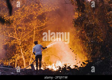 Ein Mann steht mit dem Rücken und löscht ein Feuer im Regenwald mit einem Schlauch Stockfoto