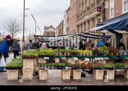 An einem Verkaufsstand werden Frühlingsbettpflanzen auf dem Saturday Market in der High Street in Stockton on Tees, Großbritannien, verkauft. Stockfoto