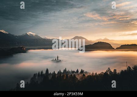 2022 12 30, Bled, Slowenien: Bleder See bedeckt mit Nebel, die Insel Bled ragt durch und Burg Bled und Julische Alpen im Hintergrund Stockfoto