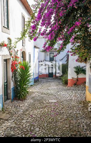 Kopfsteinpflasterstraße in der Altstadt, Obidos, Zentralregion, Portugal, Europa Stockfoto