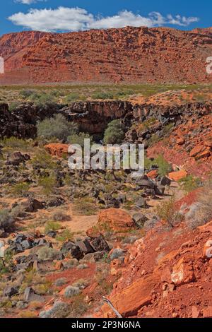 Red Rock Cliffs über Rocky Arroyo im Snow Canyon State Park in Utah Stockfoto