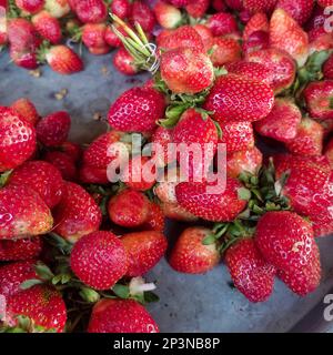 Rote reife Erdbeeren Hintergrund. Nahaufnahme, Draufsicht. Stockfoto