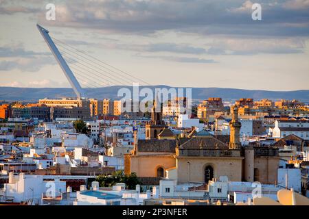 Skyline von oben des Metropol Parasol in Plaza De La Encarnación, im Hintergrund Alamillo-Brücke, Sevilla, Andalusien, Spanien Stockfoto