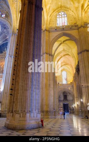 Gewölbe des Mittelschiffs, Kathedrale von Sevilla, Sevilla, Andalusien, Spanien Stockfoto