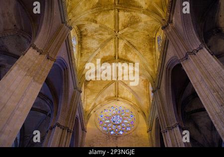 Gewölbe des Mittelschiffs, Kathedrale von Sevilla, Sevilla, Andalusien, Spanien Stockfoto