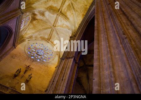 Gewölbe des Mittelschiffs, Kathedrale von Sevilla, Sevilla, Andalusien, Spanien Stockfoto