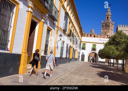 Giralda Turm aus dem Patio de Banderas in der königlichen Alcazar, Sevilla, Andalusien, Spanien Stockfoto