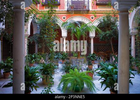 Typische Hof in Ximenez de Enciso Street, Santa Cruz Viertel, Sevilla, Andalusien, Spanien Stockfoto