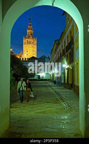 Giralda Turm von der Juderia (Judenviertel) gesehen. Sevilla, Andalusien, Spanien. Stockfoto