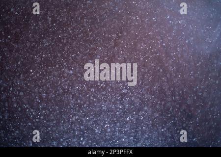 Staubpartikel, die auf schwarzem Hintergrund schwimmen. Glitzerndes, glitzerndes, flackerndes, glitzerndes Licht. Stockfoto