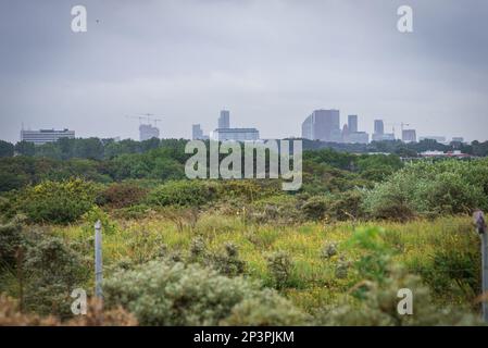 Die Skyline von Den Haag im Nebel, Blick von den duns am Scheveningen Beach Niederlande Stockfoto