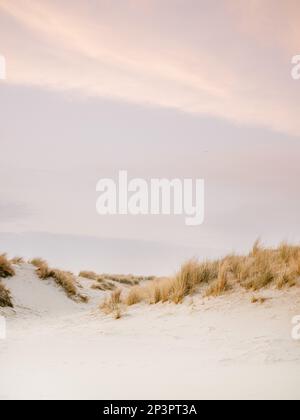 Sonnenuntergang in den Dünen von Ameland, einer der Waddeninseln im Norden der Niederlande. Pastellfarbener Himmel, wunderschöne Sanddünen. Stockfoto