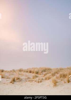 Sonnenuntergang in den Dünen von Ameland, einer der Waddeninseln im Norden der Niederlande. Pastellfarbener Himmel, wunderschöne Sanddünen. Stockfoto