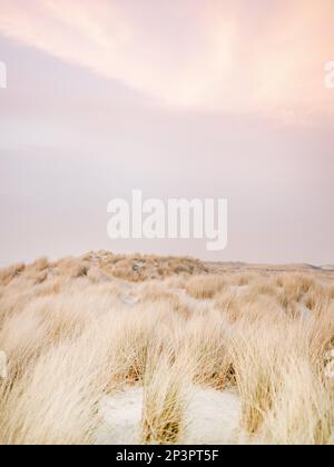 Sonnenuntergang in den Dünen von Ameland, einer der Waddeninseln im Norden der Niederlande. Pastellfarbener Himmel, wunderschöne Sanddünen. Stockfoto