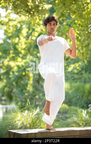 tai Chi Chuan Master-Workout im Park Stockfoto