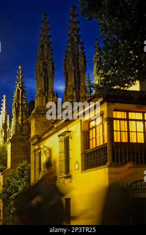 Die Gipfel der Kathedrale in der Oficios Straße. Granada. Andalusien, Spanien Stockfoto