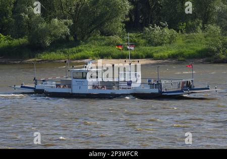 27. Mai 2022, Brandenburg, Lenzen (Elbe): Die Fähre "Westprignitz" fährt die ca. 400 Meter zwischen Pevestorf in Niedersachsen und Lenzen in Brandenburg über die Elbe in wenigen Minuten. Das ursprünglich 1957 als Gierseilfähre gebaute Schiff wurde im Frühjahr 1990 in Lenzen in Betrieb genommen und kann dank der Leistung von zwei Deutz-Dieselmotoren etwa 50 Personen und sechs bis acht Autos befördern. Foto: Soeren Stache/dpa Stockfoto