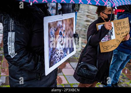 Izmir, Türkei. 05. März 2023. Die Demonstranten tragen während der Demonstration Plakate, die ihre Meinung zum Ausdruck bringen. Iraner, die in Izmir leben, versammelten sich auf dem Alsancak Gündo?du-Platz, um gegen die iranische Regierung zu protestieren, nachdem im Iran Jugendliche und Tiere durch chemisches Gas getötet wurden. Kredit: SOPA Images Limited/Alamy Live News Stockfoto