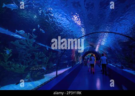 Antalya, Türkei - 10. September 2021: Tunnelblick auf Aquarium und Unterwasserzoo Stockfoto