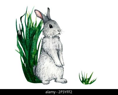 Aquarelle wilde Waldtiere mit Fußabdrücken. Hase, Hase. Waldmotiv für Kinder Stockfoto